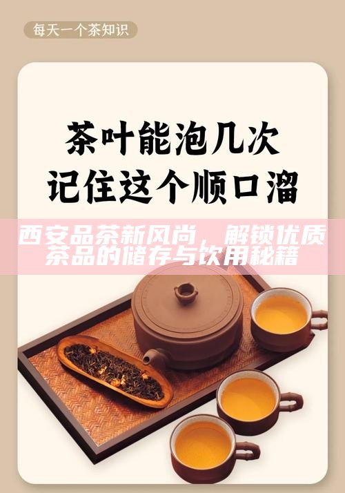 西安品茶新风尚，解锁优质茶品的储存与饮用秘籍