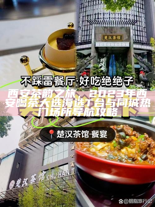 西安茶韵之旅，2023年西安喝茶大选海选T台与同城热门场所导航攻略